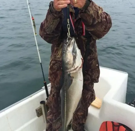 Σπίτι διακοπών Solbakken